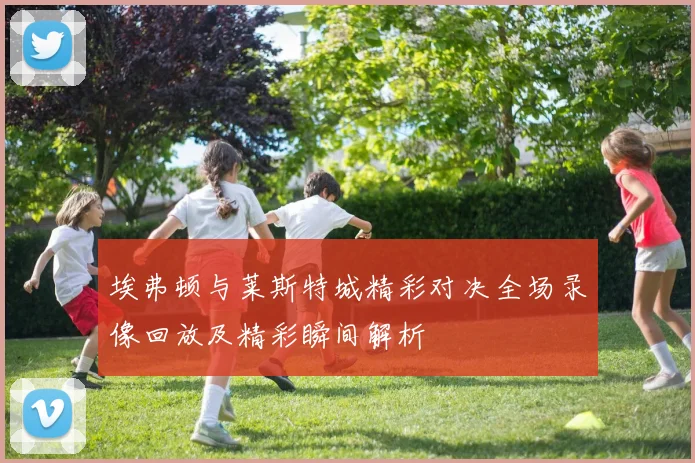 埃弗顿与莱斯特城精彩对决全场录像回放及精彩瞬间解析