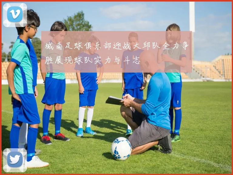 城南足球俱乐部迎战大邱队全力争胜展现球队实力与斗志