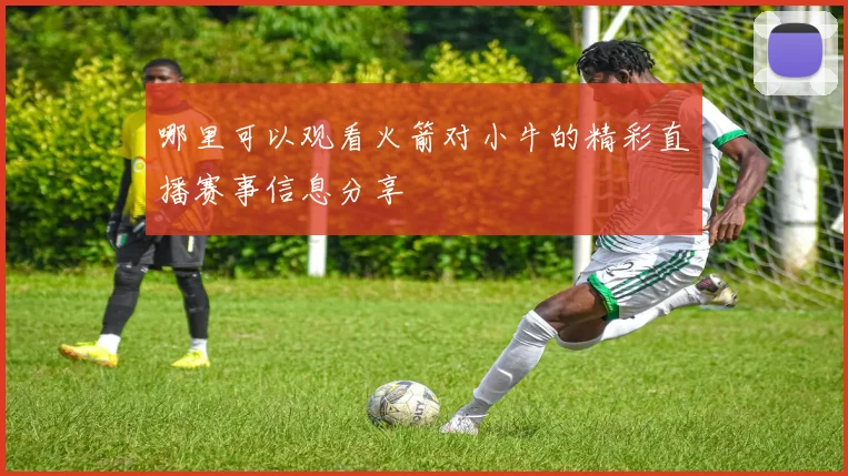 哪里可以观看火箭对小牛的精彩直播赛事信息分享