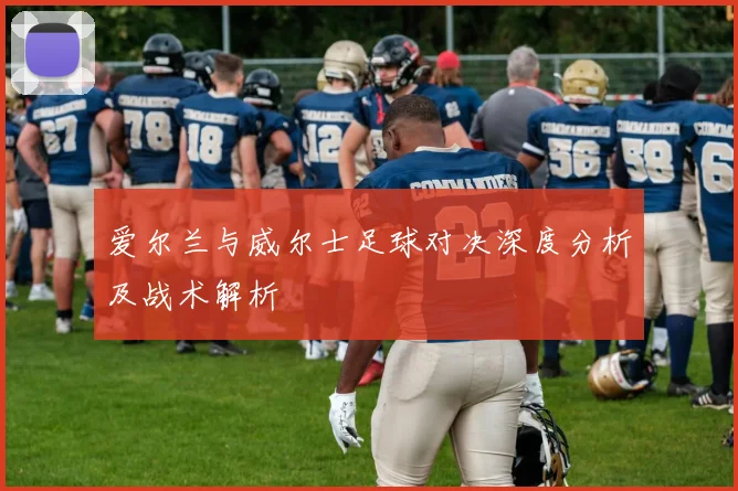 爱尔兰与威尔士足球对决深度分析及战术解析