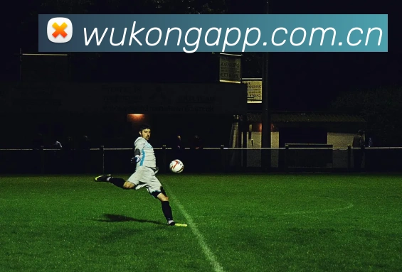 悟空体育品牌故事